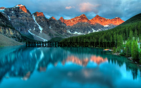 绿植盆栽盒让我家的空间变得更加清新