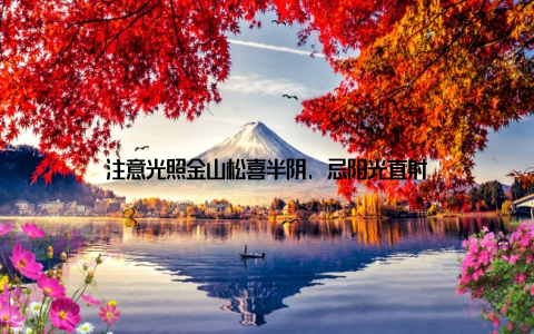 注意光照金山松喜半阴, 忌阳光直射