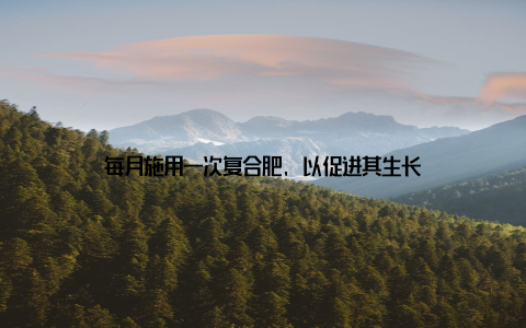 每月施用一次复合肥, 以促进其生长