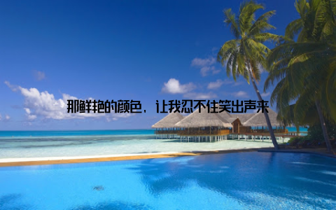 那鲜艳的颜色, 让我忍不住笑出声来
