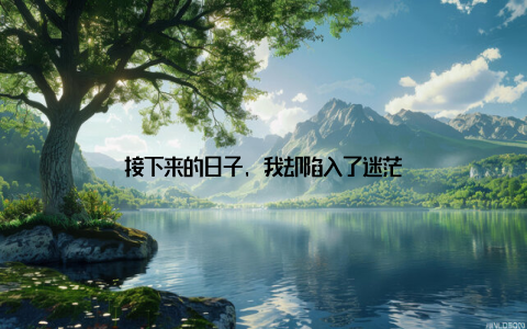 接下来的日子, 我却陷入了迷茫