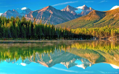 快来动手实践吧! 祝您养花愉快!