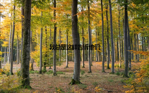 我总是这样告诉他们