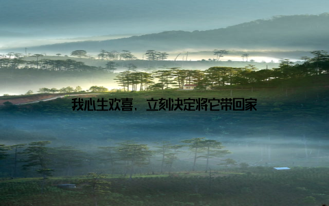 我心生欢喜, 立刻决定将它带回家