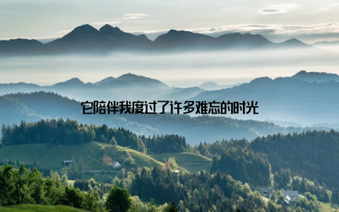 它陪伴我度过了许多难忘的时光