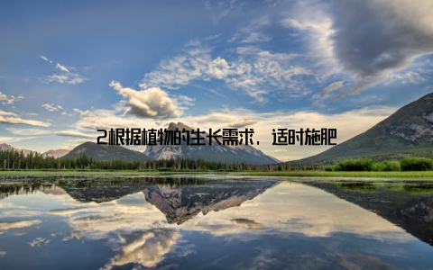 2根据植物的生长需求, 适时施肥