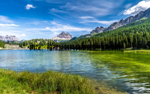 再次, 福禄盆栽具有净化空气的作用