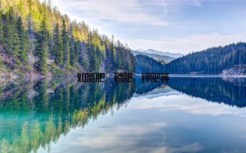 如氮肥、磷肥、钾肥等